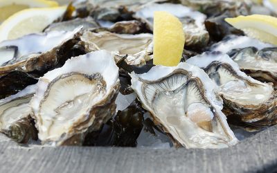 Conservation of fresh oysters