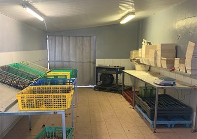 chantier conditionnement et vente huîtres