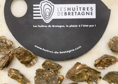 huitres 18 mois huitrié